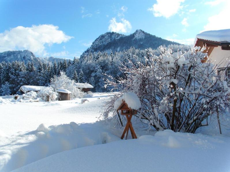 Lackner - Chiemgau Karte Apartment *
